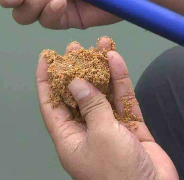 饵料|秋季钓鱼，小鱼闹窝怎么办？教你几个小妙招，轻松钓大鱼