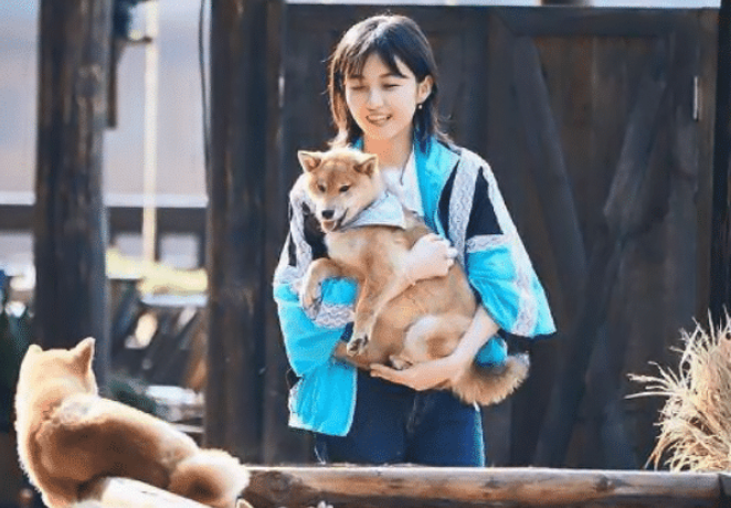 #张子枫#向往的生活:为何张子枫在节目中频繁的喝牛奶?真实原因惹人心疼