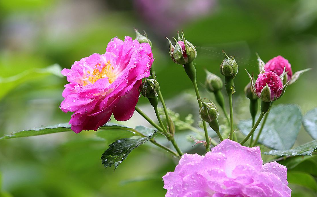 天蝎座|经济能力很强，这些星座，在家庭当中就很有地位