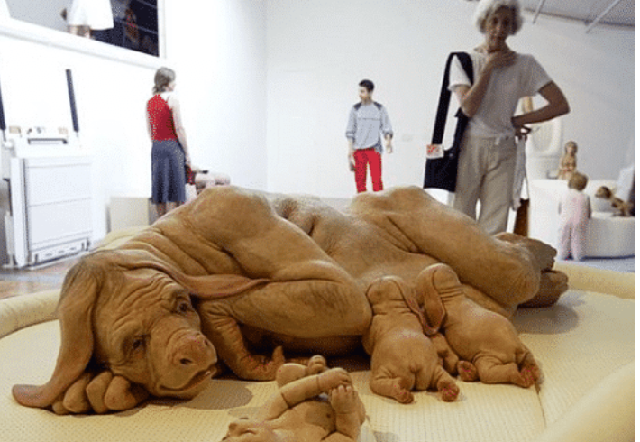 【】世界上第一个做“换头手术”的猴子,18小时消耗7000万,现在怎样了?