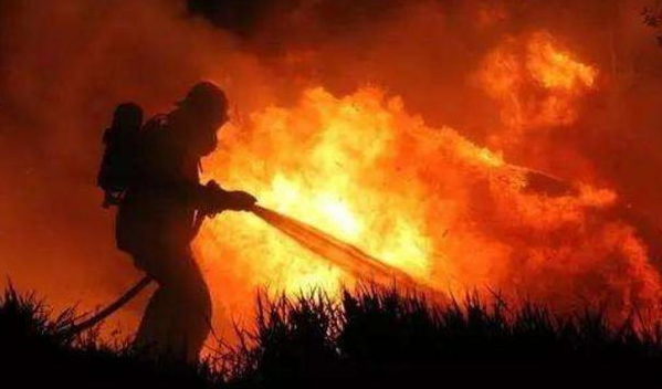 【科学家】地球母亲已经开始“自救”？科学家：人类是时候该觉醒了！