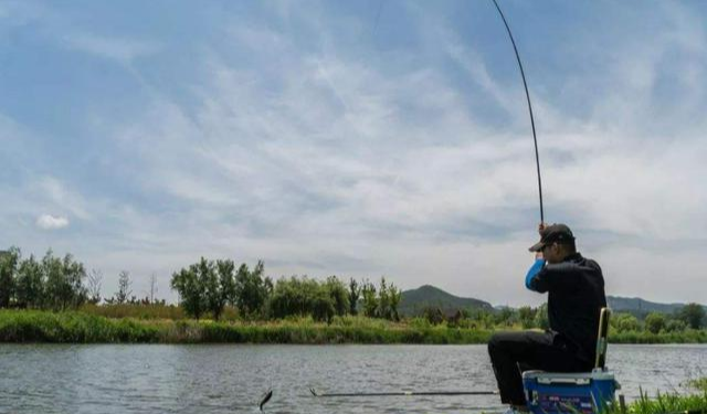 |钓鱼入门基础知识，线组的配置及操作——盛世三渔