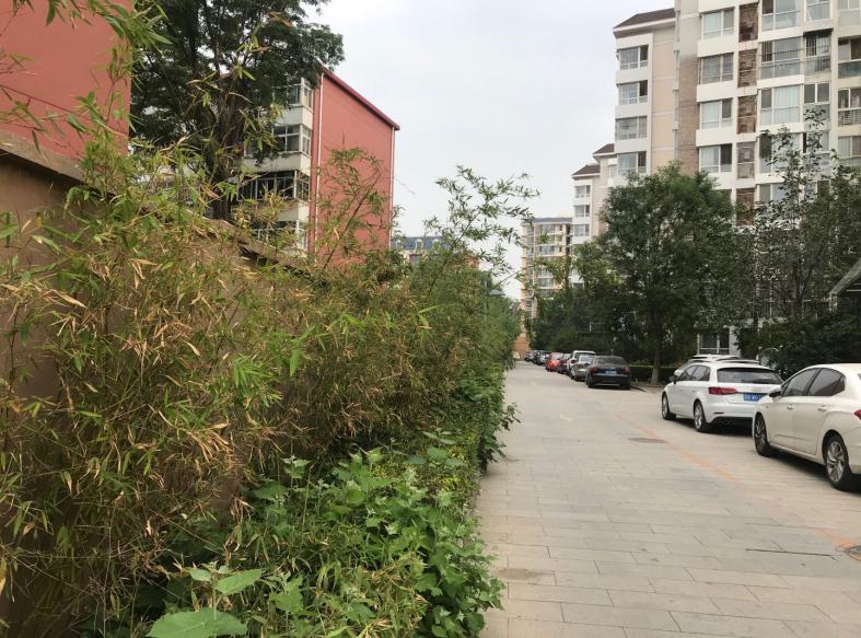 [老蜜蜡]一线猫的生活日志（二）