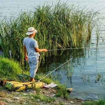 |钓草鱼的三种饵料用法及利弊分析——盛世三渔