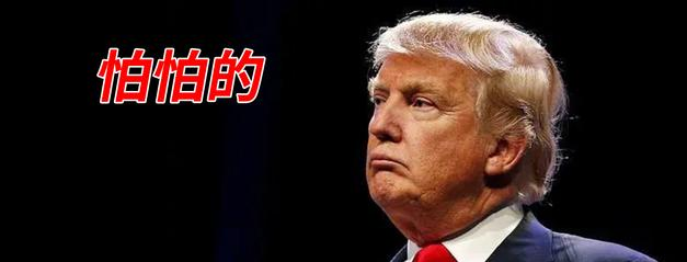 半导体|半导体投入是美国的1000倍！特朗普还能扳得动中国科技企业么