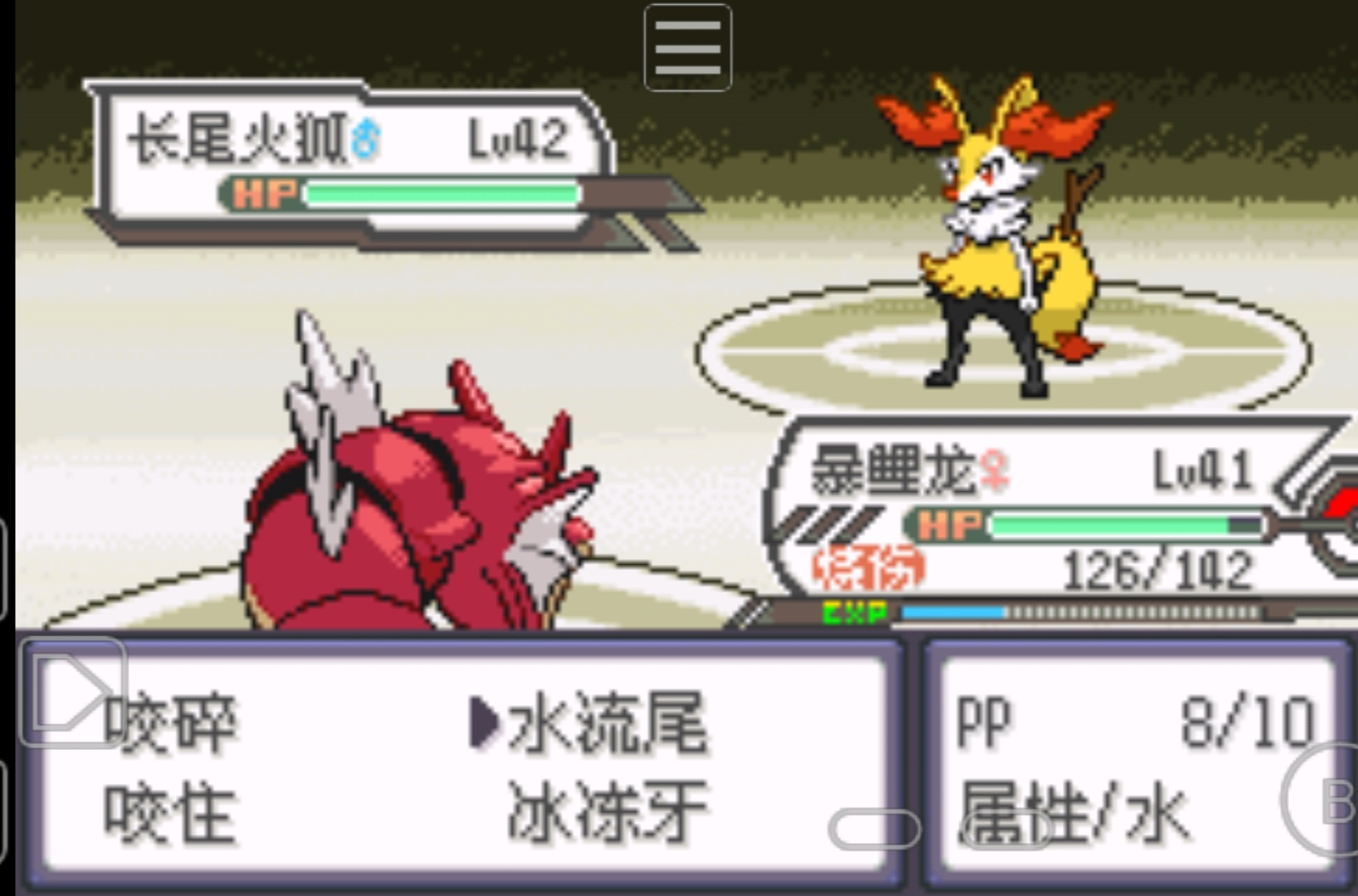 「口袋妖怪」口袋妖怪究极绿宝石：谜一般的道馆，燥热的釜炎镇！