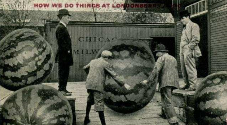 百年前美國“浮誇風”的照片：一列火車運一顆土豆，圖5雞比牛大-圖6