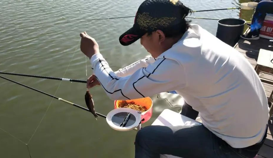 ■初夏钓鱼能够爆满，其中这5个优势不可小觑！——盛世三渔