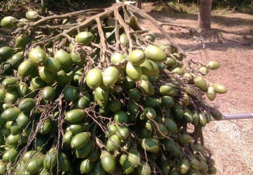 致癌物@央视曝光“一级致癌物”，很多人还天天当“宝贝”，甚至供不应求！