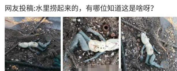 @“从水里捞起来的,请问一下这是什么啊?”哈哈哈...