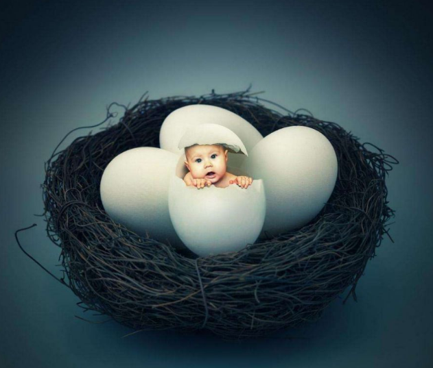 『科学家』人类是从蛋中孵化出来的?进化论受到挑战,意大利科学家找到证据