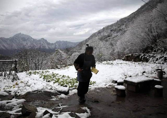 颜夕趣史|终南山有上万人“隐居”,当真是看破红尘?当地村民却称皆是假象