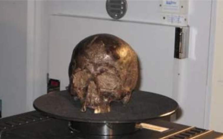 科学家▲科学家发现了一颗“活着的大脑”，保存了2600年，简直不可思议