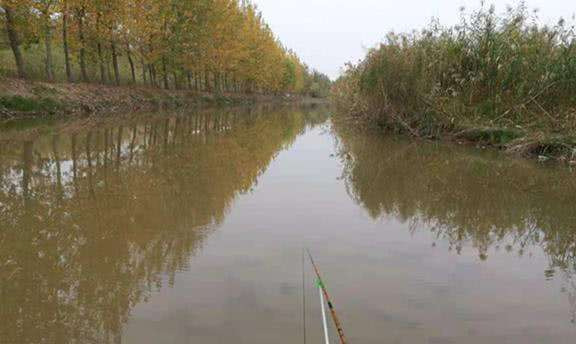 立秋|立秋后钓位如何选择？是钓深还是钓浅？选择对了鱼获翻倍