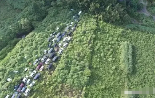 |10张图片告诉你：若人类某天消失不见，地球将会变成什么样子！