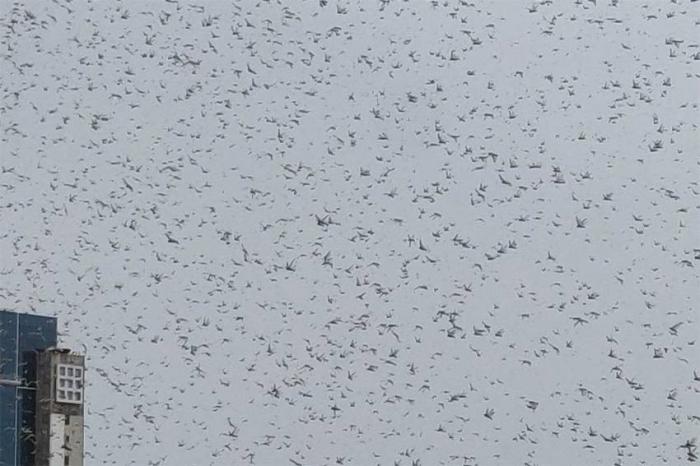 『印度』一条道走到黑！7月7日，印度连传三大噩耗，莫迪脸上挂不住了！