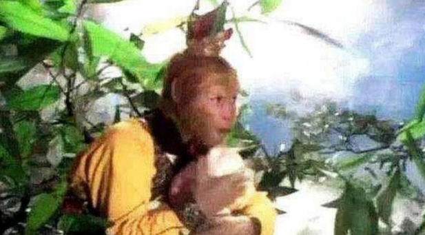 [孙悟空]为啥孙悟空吃蟠桃只咬一口就扔？桃子放大后明白了，真难为猴哥了