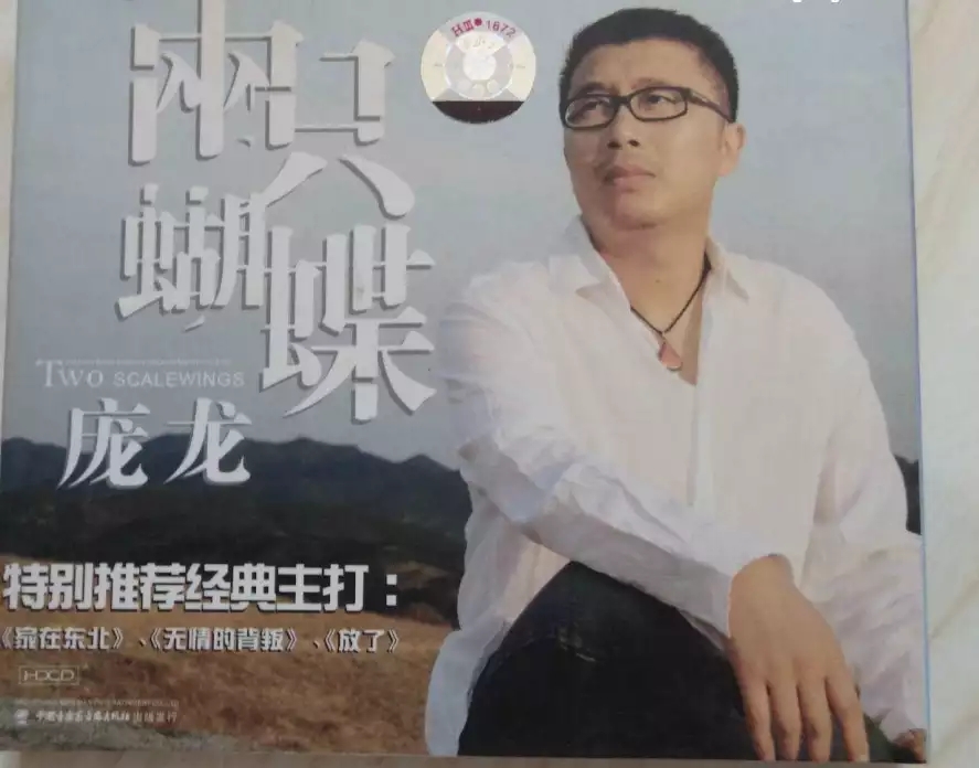 沙宝亮|这五位歌手，只用了一首歌就火遍天下……