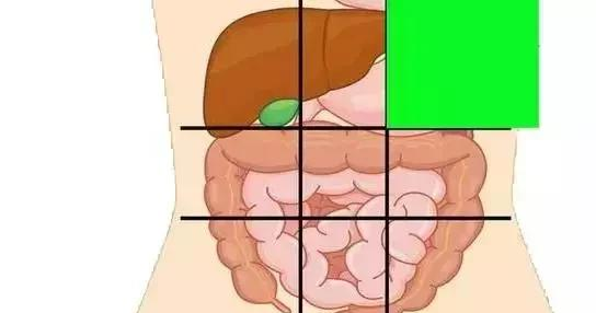 「疾病」一张腹部地图，告诉你腹部疼痛对应哪个器官，终身有益