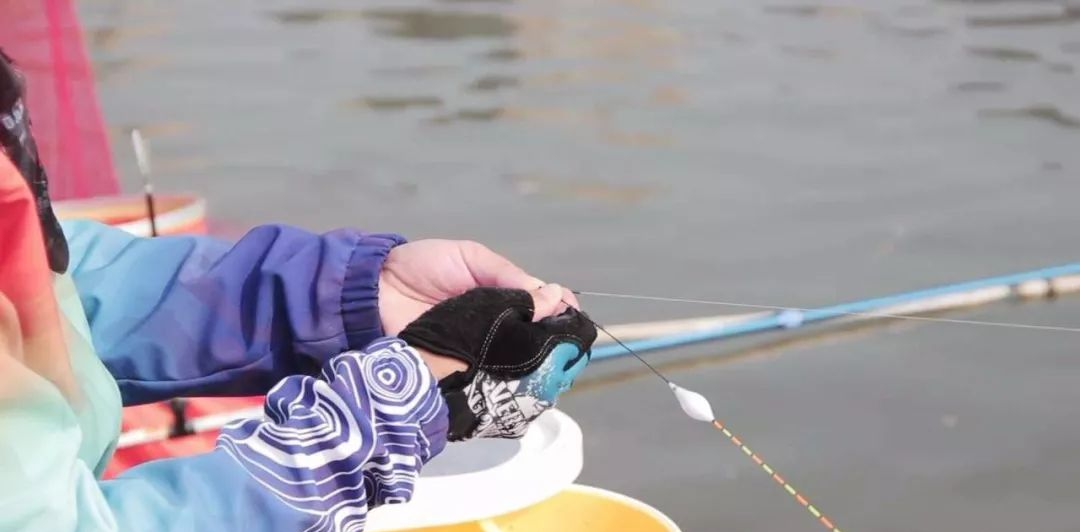 【鲫鱼】新手不会钓鱼，就做这三点就行！——盛世三渔