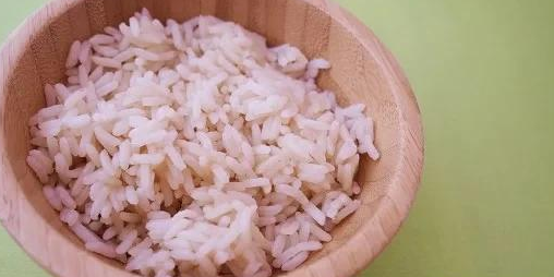 只是出现暂时性的胃部不适，这些食物可以帮助狗狗缓解胃部不适。