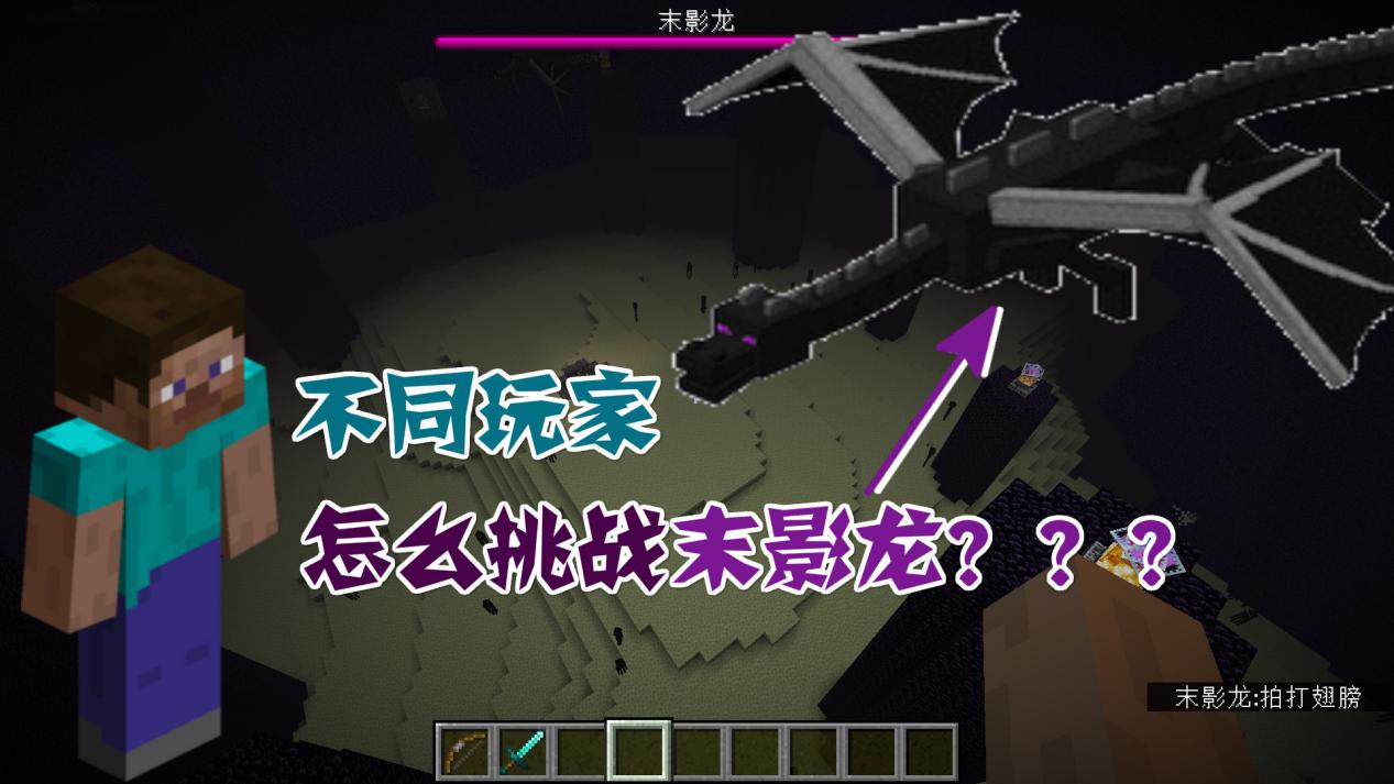 『我的世界』我的世界：当不同玩家挑战末影龙！你是哪一种？
