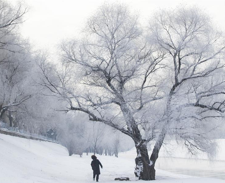 世界再大 ，等你回家！ 看济宁最新房价......