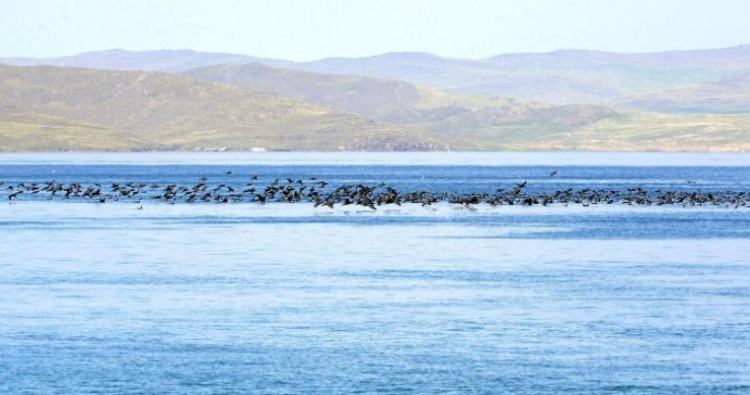 「贝加尔湖」贝加尔湖再创奇迹,湖水改流中国犹如引海入彊,利国利民的好事