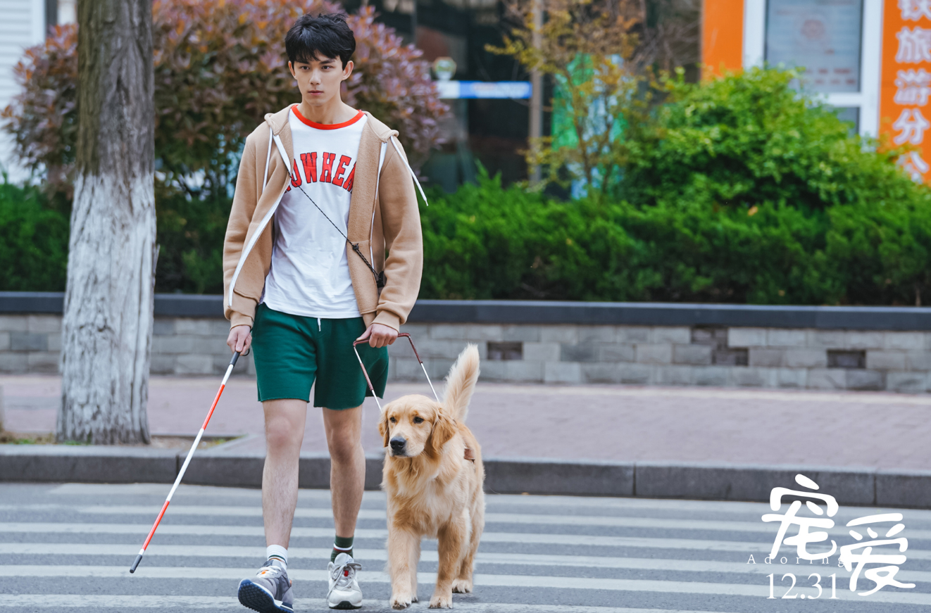 电影|雪藏4年才上映，撞上吴京《金刚川》，刘德华新片首日预售仅60万