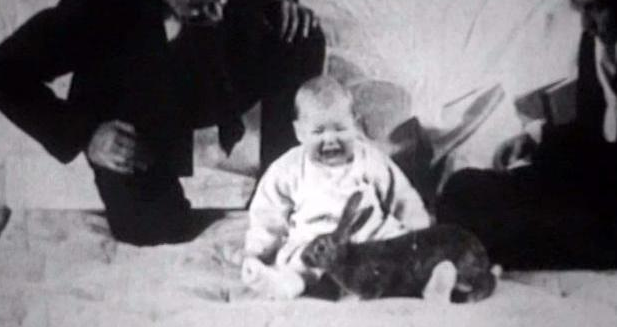 「」历史上最骇人听闻的“小艾伯特实验”，人性的丑陋不过如此！