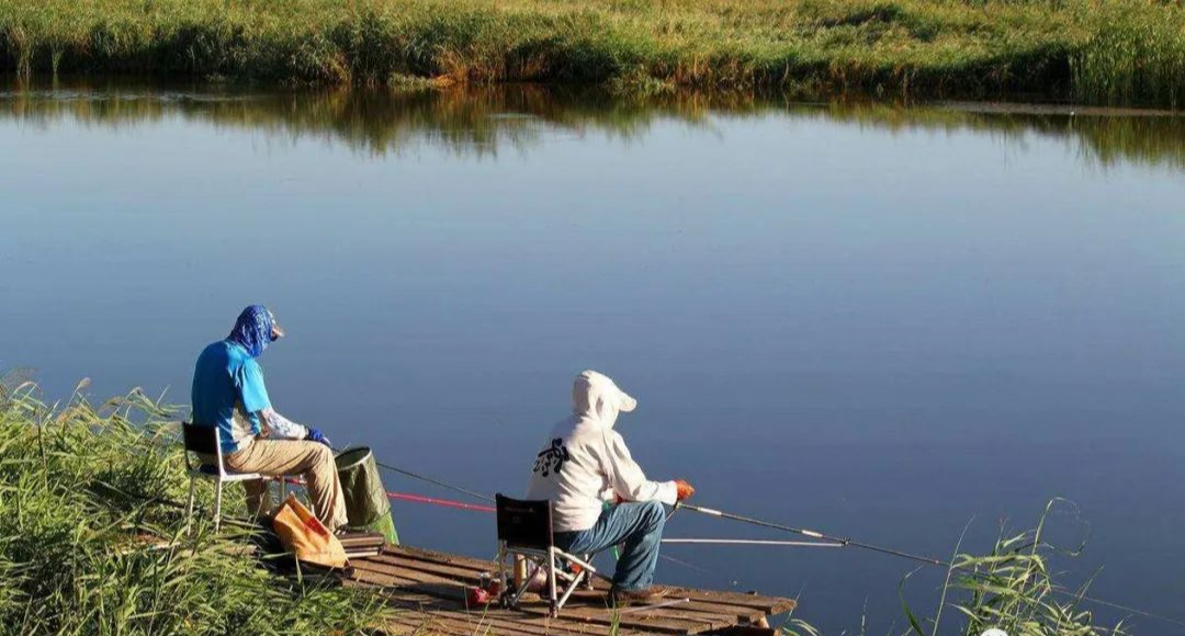 【】夏季钓鱼难？看完这些你就知道问题出在哪了！——盛世三渔