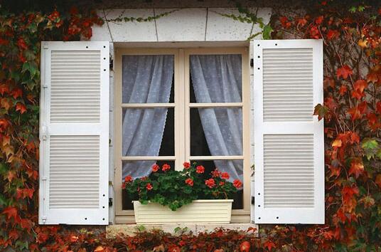 橘子皮除甲醛千万不能信！甲醛的克星就这仨，其他的都白搭！