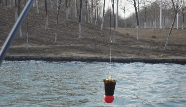 【】在垂钓娱乐过程中，有哪些习惯会影响渔获