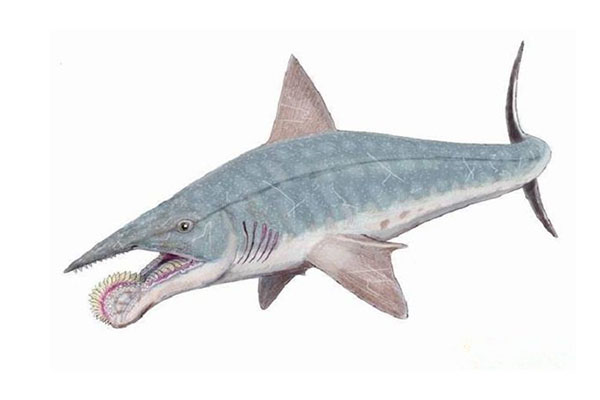 马门溪龙:十大灭绝的可怕生物排名,一起看完,不要怂