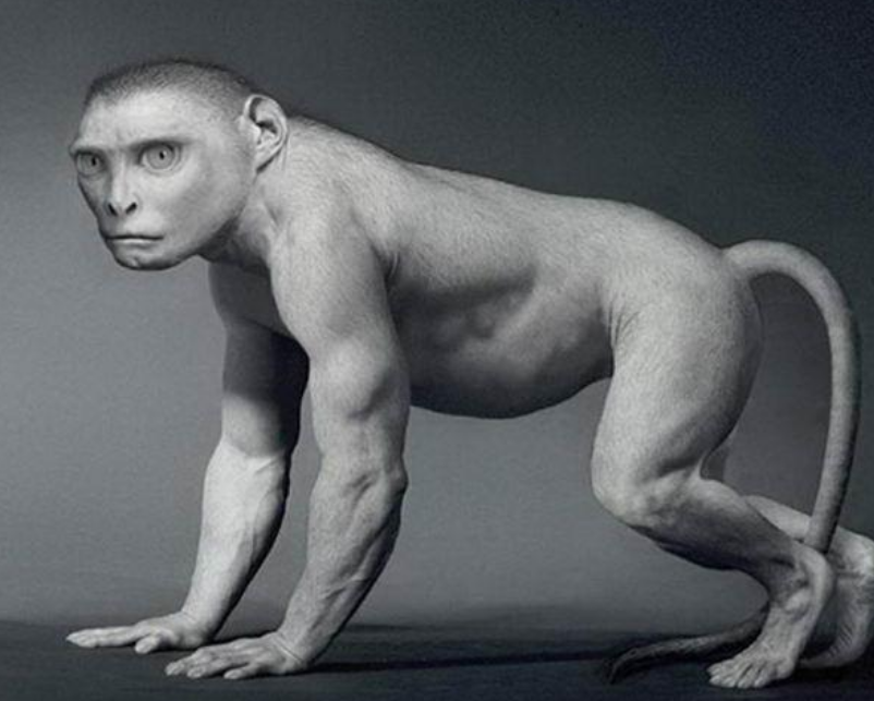 科学家|科学家展示了，“人类进化”图像，可以清晰看见所有变化