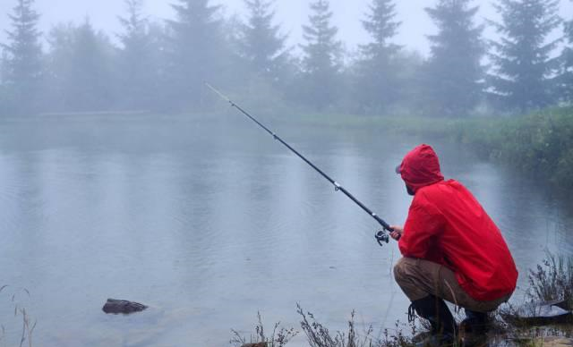 「」钓鱼记住这8要素，新手一样可以钓到鱼