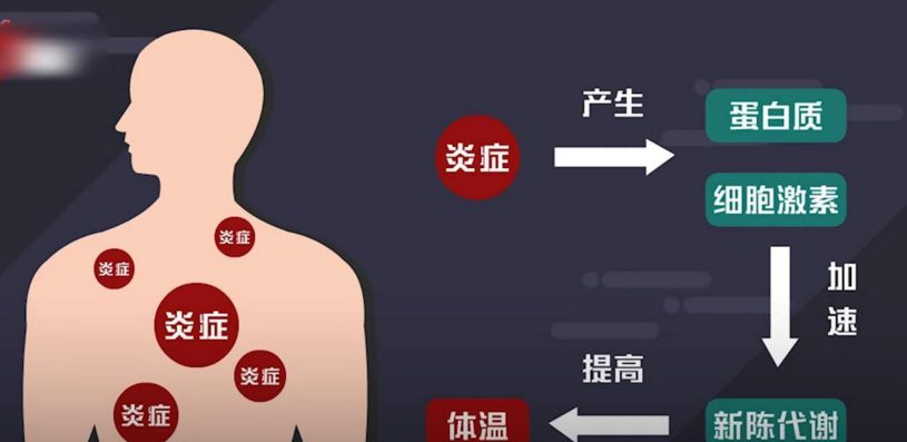 【免疫系统】人类的体温已经不再是37度!这非常的可怕!