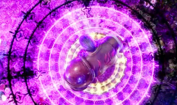 斗罗大陆：斗罗大陆：赵无极得到唐昊指点，魂力连升12级，史莱克最终排名第二