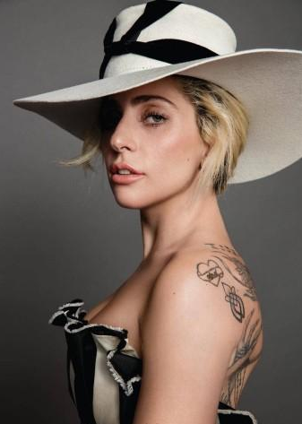 「Lady Gaga」Lady GaGa发动全球巨星开“云演唱会”，找68个巨头筹款9亿