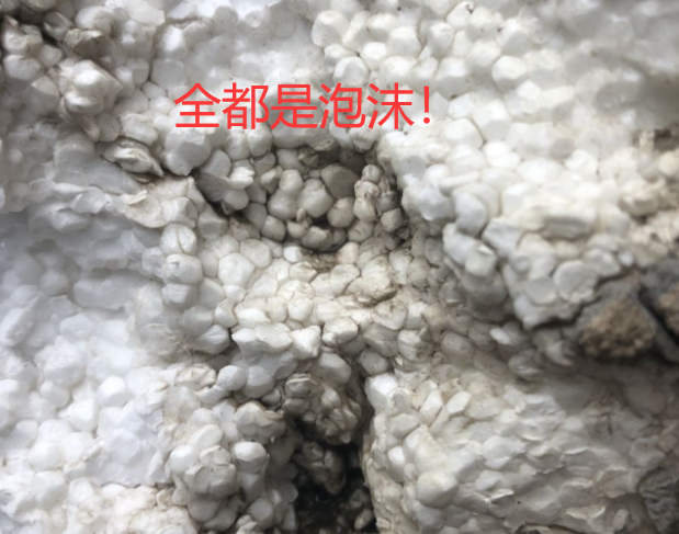 |“发现楼墙面有泡沫,遇到豆腐渣工程了?”结果被嘲笑太无知...