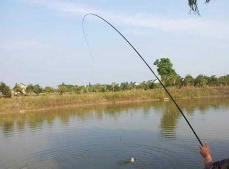 饵料|掌握秋天钓鲢鳙的几款饵料配方和钓鱼的技巧，钓鲢鳙不再难