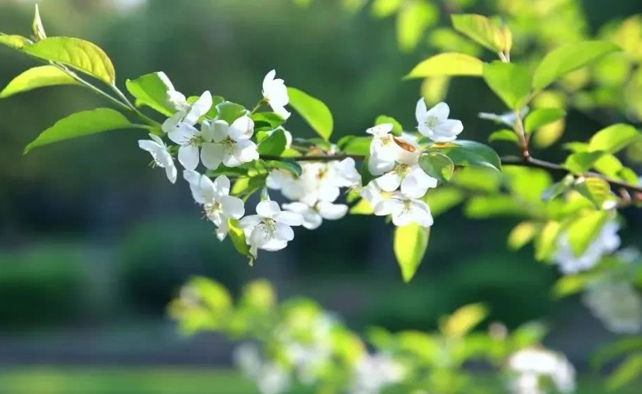 [运势]明天起，睡着能笑醒！4生肖不得了，天上掉财、地上生金，大富大贵躲不掉