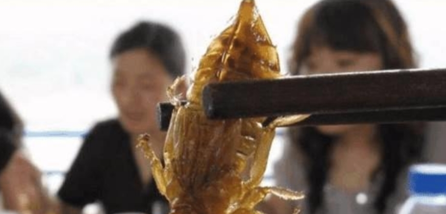 「」它一小时能吃掉800只蚊子,却被中国吃货吃到快灭绝了,让人惋惜