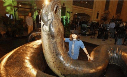 「蟒蛇」蛇到底能长多长？二战的飞行员在空中拍到的一条巨蛇，至今都无人敢信