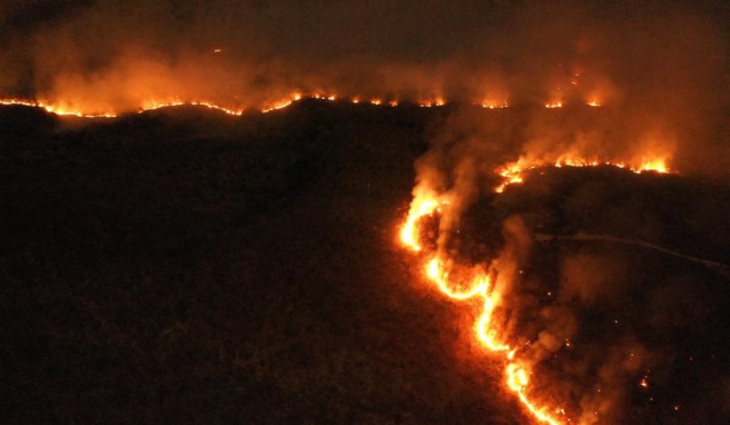 「科学家」2020年灾难不断，幕后黑手到底是谁？科学家或找到源头！