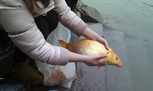 |钓鱼算不算是一种恶习？为什么有那么多人不支持？来说说钓鱼人的烦恼