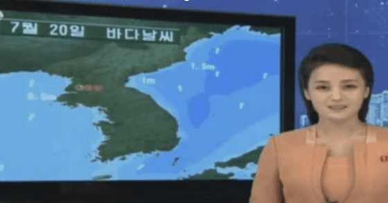 主持人|韩国综艺节目竞争压力太大,女嘉宾为了获得收视率,简直“不择手段”!