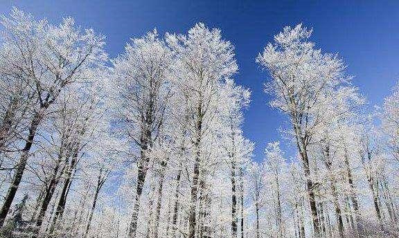 活火熔城@六月飘雪、七月霜冻，一座火山喷发，引发的1816年剧烈气候反常