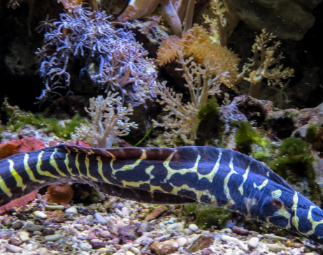 科学家|人类每天承受10吨大气压力，为什么没有被压扁？科学家：已经扁了