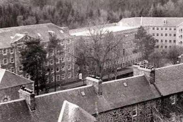 后代▲8只老鼠，一场持续了1780天的“荒诞”实验，真能揭露人类的未来？